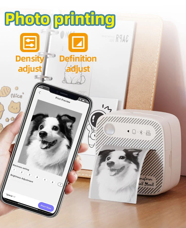 DOLEWA B3 Portable Mini Printers Wireless Bluetooth Inkless Sticker Maker Printer Tag Price Machine for Office School Kitchen